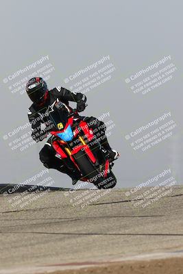 media/Feb-10-2023-TrackDaz (Fri) [[827c11d241]]/C Group/1245pm (Outside Grapevine)/